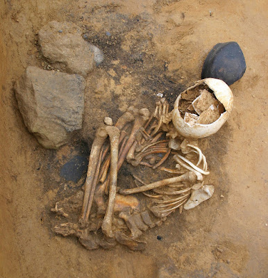 Esqueleto de una antigua necrópolis, con el cráneo roto, en posición semifetal encorvada.
